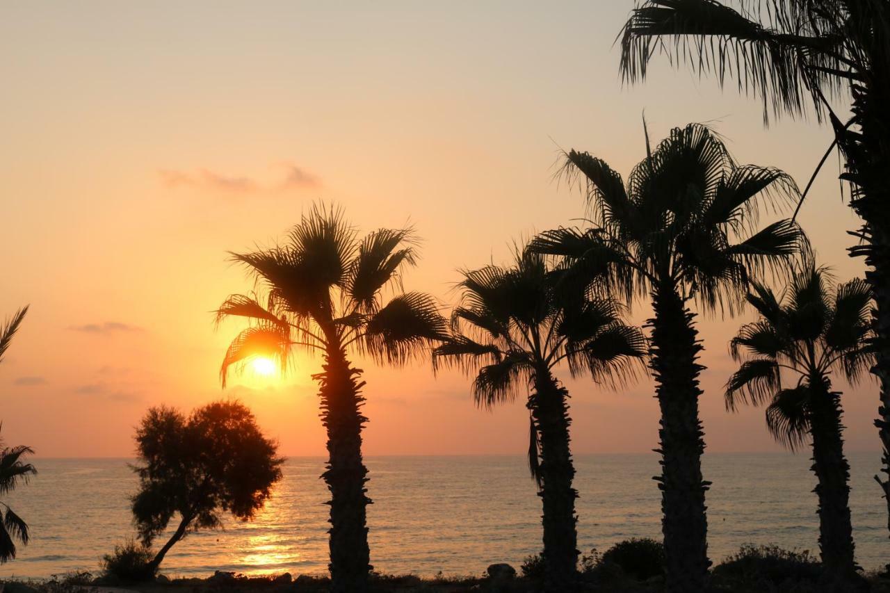 The Paradise By Taimoura * Pafos